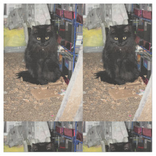 Tissu Cat