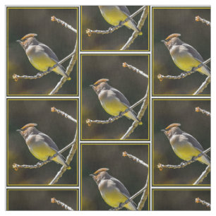 Tissu Cèdre cire Songbird Photo originale Oiseau sauvage