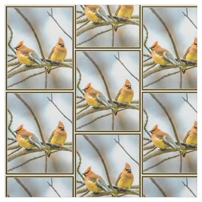 Tissu Cèdre - Photographie originale (Échantillon)