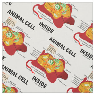 Tissu Cellule animale à l'intérieur du diagramme d'Euk