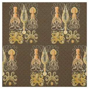 Tissu Cephalopod poulpe calmar Nature marine