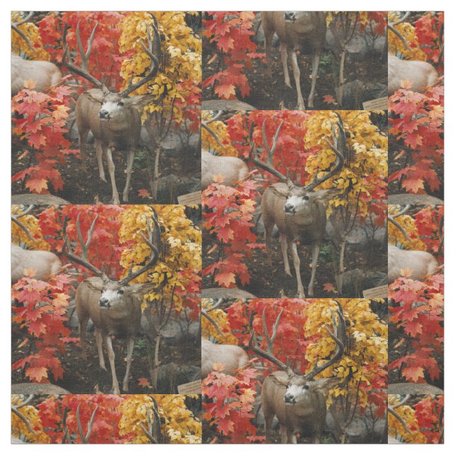 Tissu Cerf à queue blanche en automne (Échantillon)