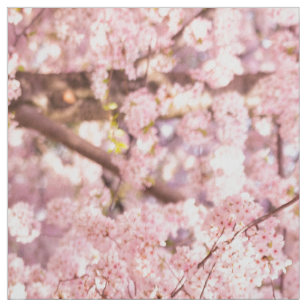Tissu Cerisiers en fleurs