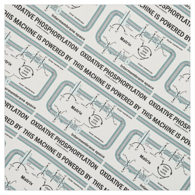 Tissu Cette Machine Alimentée Par La Phosphorylation Oxi (Échantillon)