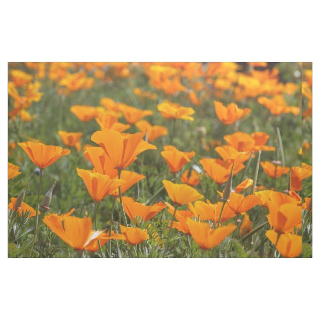 Tissu Champ de pavot de Californie (Fat Quarter)