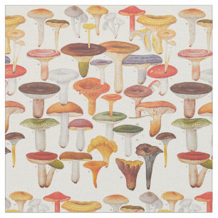 Tissu Champignons de champignons de paris de Les