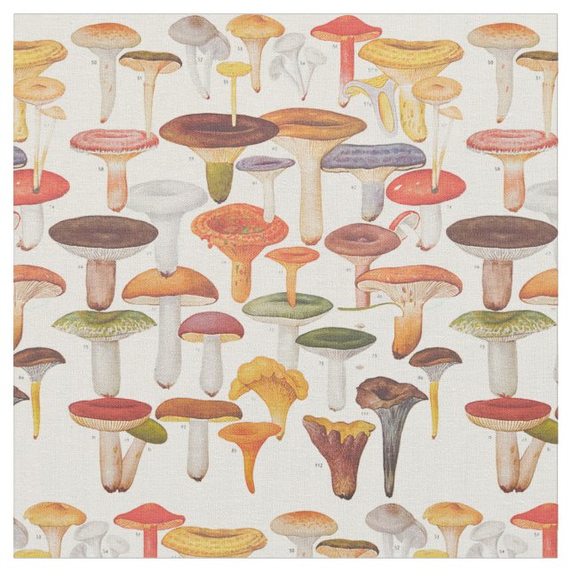 Tissu Champignons de champignons de paris de Les (Fermer)