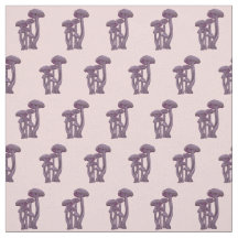 Champignons de Laccaria -