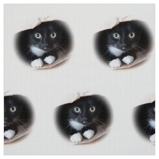Tissu Chat dans un sac (Échantillon)