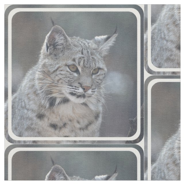 Tissu Chat sauvage extraordinaire (Fermer)