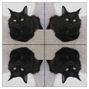 Tissu Chat sur le divan