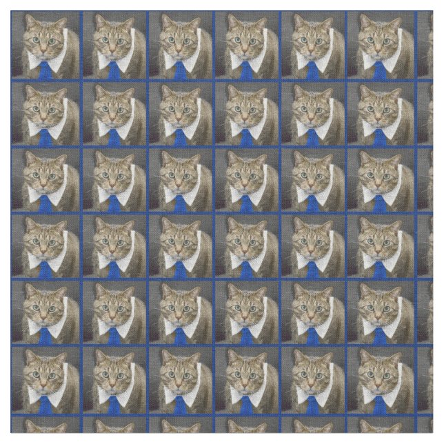 Tissu Chat tigré brun aux yeux verts mignon portant une (Fermer)