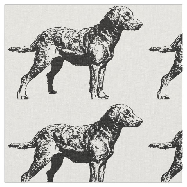 Tissu Chesapeake_Bay_Retriever_drawing.png (Fermer)