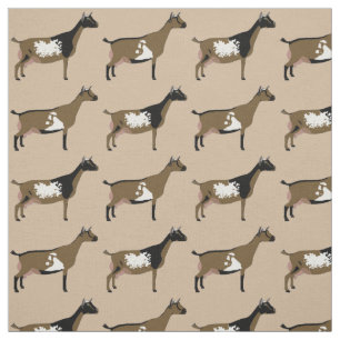 Tissu Chèvre laitière naine nigériane