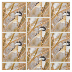 Tissu Chickadee au plafond noir - Photo originale