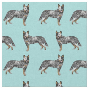 Tissu chien australien à tête bleue