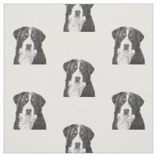 Tissu Chien de montagne de Bernese noir et blanc
