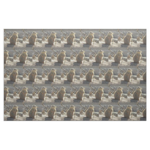 Tissu Chien de prairie
