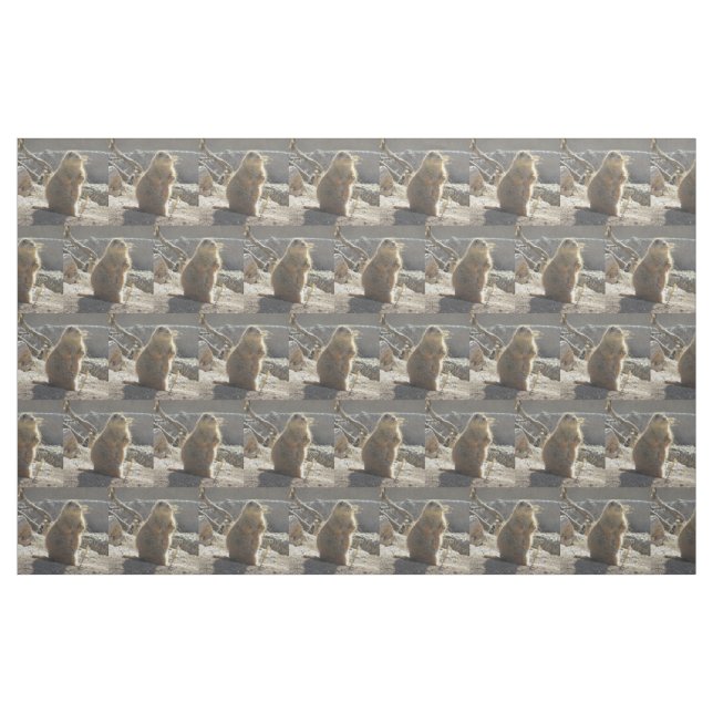 Tissu Chien de prairie (Fat Quarter)