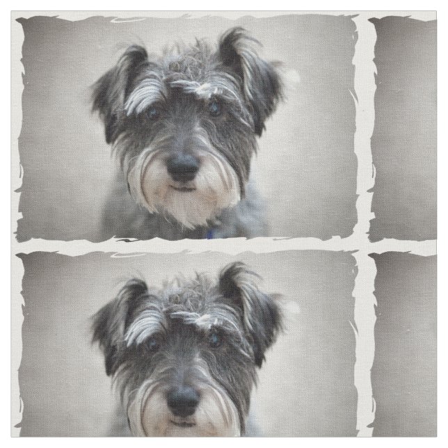 Tissu Chien Schnauzer (Fermer)