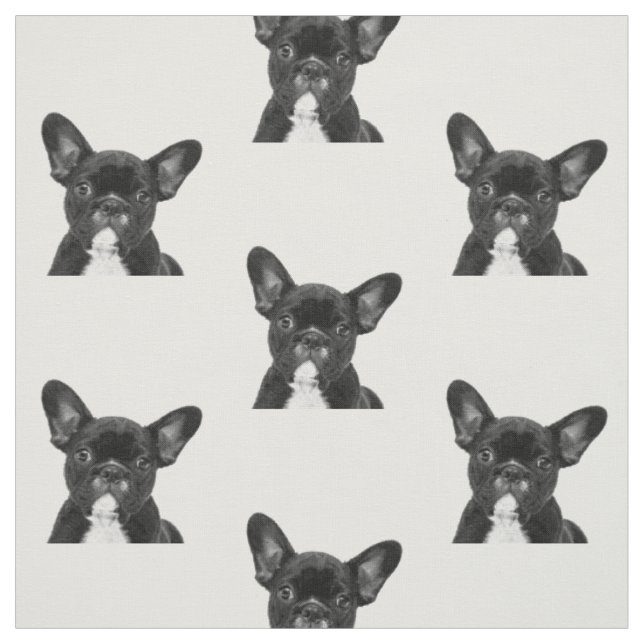 Tissu Chien-taureau français noir et blanc (Échantillon)