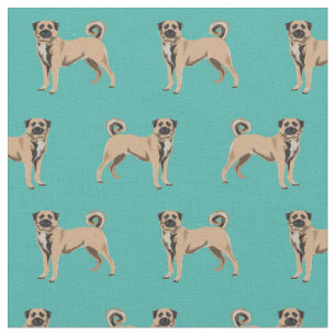 Tissu Chien turquoise du berger anatolien