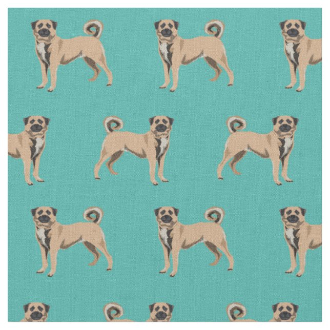 Tissu Chien turquoise du berger anatolien (Fermer)