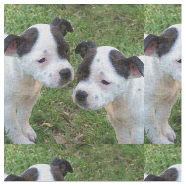 Tissu Chiffre D'État Noir Et Blanc Bull Terrier (Fermer)