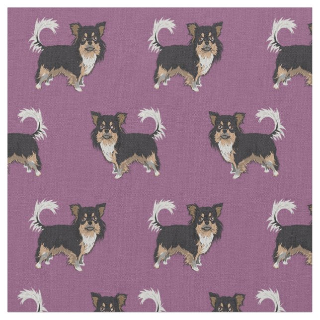 Tissu Chihuahua à poil long tricolore violet (Fermer)