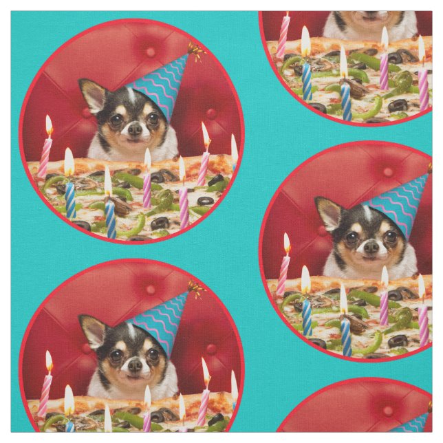 Tissu Chihuahua Anniversaire Pizza Pie (Échantillon)