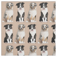 Chiot australien et border collie de berger