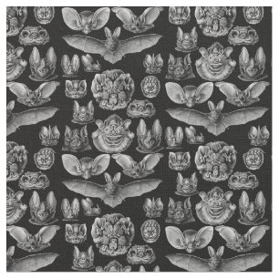 Tissu Chiroptera 1904 de Haeckel