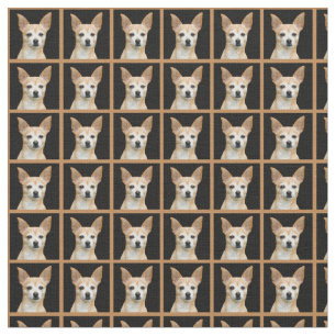 Tissu Chiwawa peint par beige sur l'arrière - plan noir