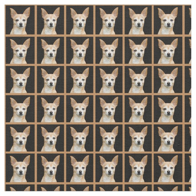 Tissu Chiwawa peint par beige sur l'arrière - plan noir (Fermer)