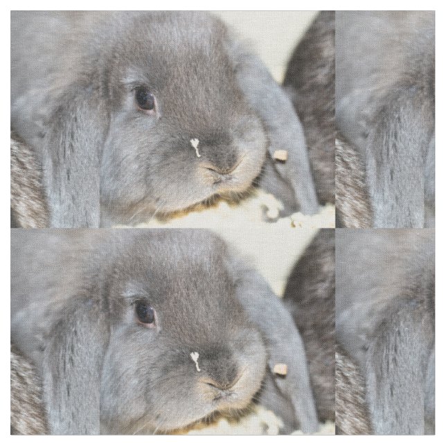 Tissu Chubby Cheeks (Fermer)
