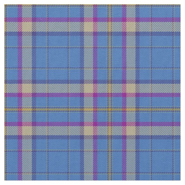 Tissu Ciam de tartan de clan d'Ely (Fermer)