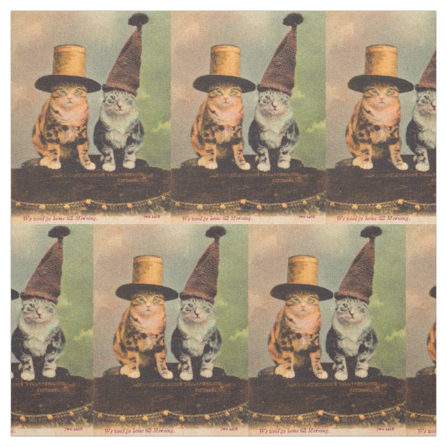 Tissu circa 1900 chats en RPPC casquette (Échantillon)