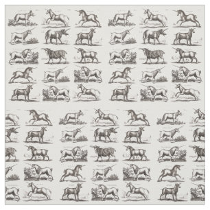 Tissu Classique Unicorne Antique Mythique Magie Créature