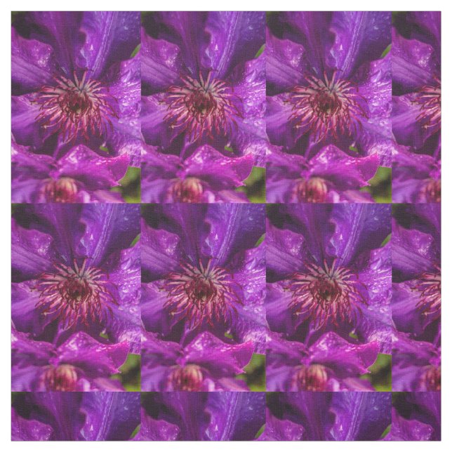 Tissu Clematis Le Président (Échantillon)