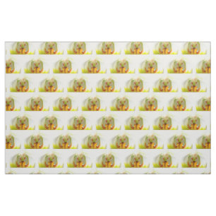 Tissu closeup orchidées jaune-blanc