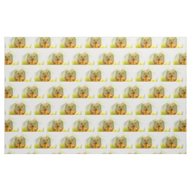 Tissu closeup orchidées jaune-blanc (Fat Quarter)