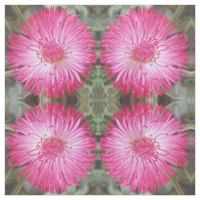 Tissu Cognie (Échantillon)