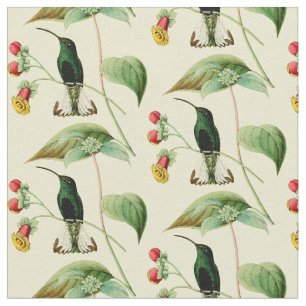 Tissu Colibri affiché par épée vintage