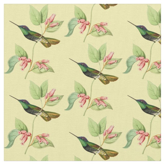 Tissu Colibri magnifique vintage (Fermer)
