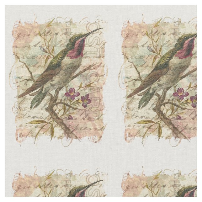 Tissu Collage de cru de colibri (Fermer)