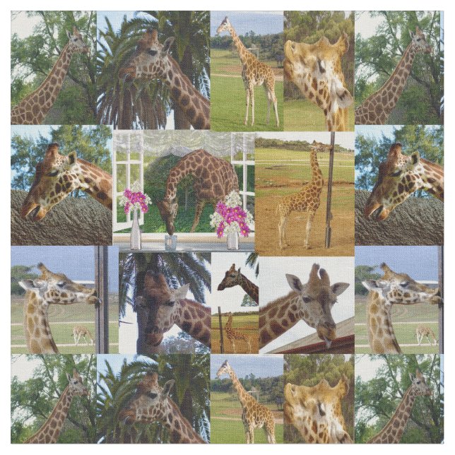 Tissu Collage photo de Giraffe, (Fermer)