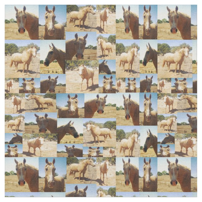 Tissu Collage photo de Palomino Horses, (Fermer)