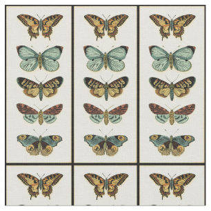 Tissu Collection de papillon par Chariklia Zarris