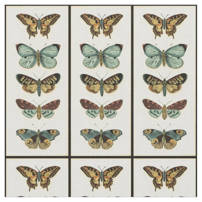 Tissu Collection Papillons par Chariklia Zarris (Fermer)
