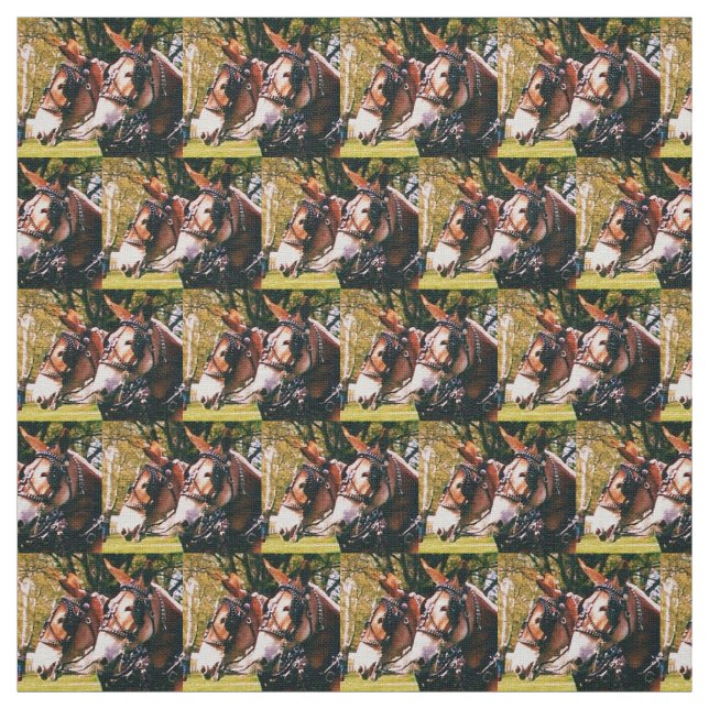 Tissu Colombie, jours de mule de TN (Échantillon)